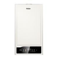 Газовый котёл Haier EliteLine 2.31 TW